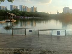-圩墩遗址公园