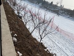 -秦皇古道滑雪场