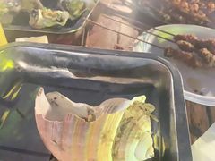 -八一湛江生蚝(文明东路总店)