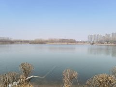 -丁香湖公园