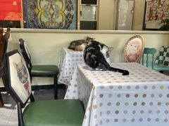 -猫小院猫主题餐厅(南锣旗舰店)