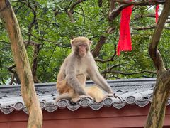 -黔灵山公园