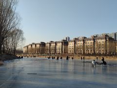 -马家湾湿地公园