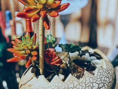-魔厨私房菜(观音桥店)