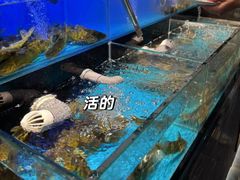 -花西亭·海鲜自助餐厅(瑞城名人酒店)