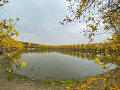 -水上鱼当家