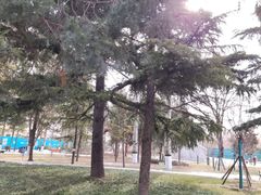 -黄村公园