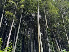 -池州市平天湖风景区