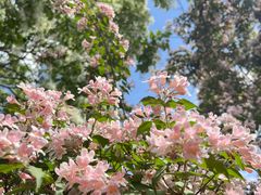 -国家植物园南园