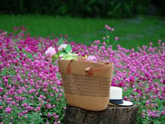 -南宁南湖公园