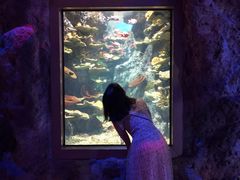 -福州罗源湾海洋世界旅游区