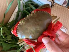 -膳富贵黄油蟹体验馆(欢乐港湾店)