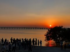 -宝安西湾红树林湿地公园