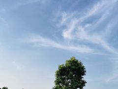 -飞来湖湿地公园