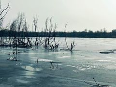-绿堤公园