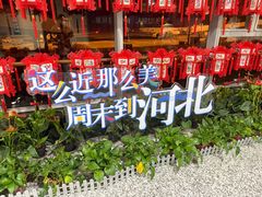 -石饮红星包子(中山路店)