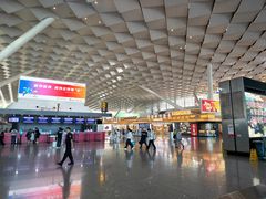 -郑州新郑国际机场-T2航站楼