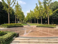 -苏州河梦清园环保主题公园