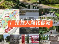 -广东花都湖国家湿地公园