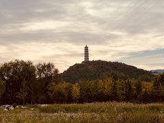 -北坞公园