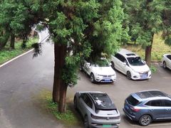 -武陵山森林公园