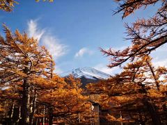 -富士山吉田線五合目