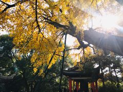 -无锡惠山寺
