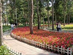 -黑龙江省森林植物园