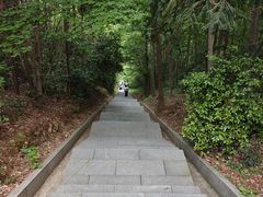 -冶父山国家森林公园