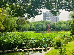 -陈家山荷花公园