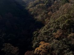 -燕子河大峡谷天坑仙境