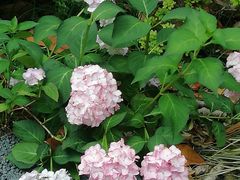 -常州古运河南大街文化旅游区-人民公园