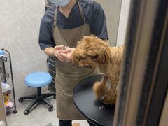 -瑞鹏宠物医院·骨外科·心肾科·肿瘤科(九亭店)