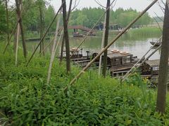 -溱湖国家湿地公园