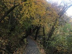 -叠溪松坪沟景区