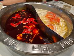 -朱氏胖子烂火锅(洪崖洞店)