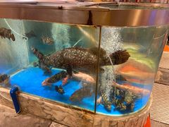 -惠食佳(滨江大公馆店)