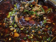 黄辣丁-三哥田螺(北书院街店)