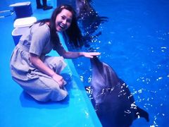 -华夏文旅海洋公园