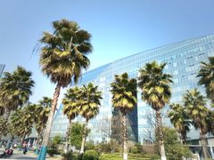 -金沙湖公园