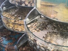 -仙螺岛海鲜自助餐厅(总店)