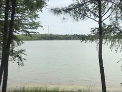 -上海海湾国家森林公园