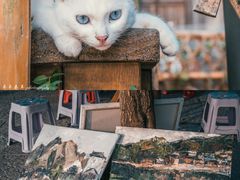 -边城茶峒景区