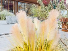 -HFFOUSA TACO弗萨塔可墨西哥餐厅(颐堤港店)