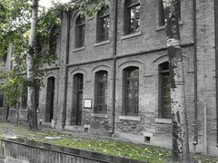 -北京师范大学附属中学