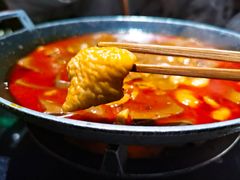 水煮鸭血肥肠-蜀都丰 川菜·水煮活鱼(万象九宜城店)