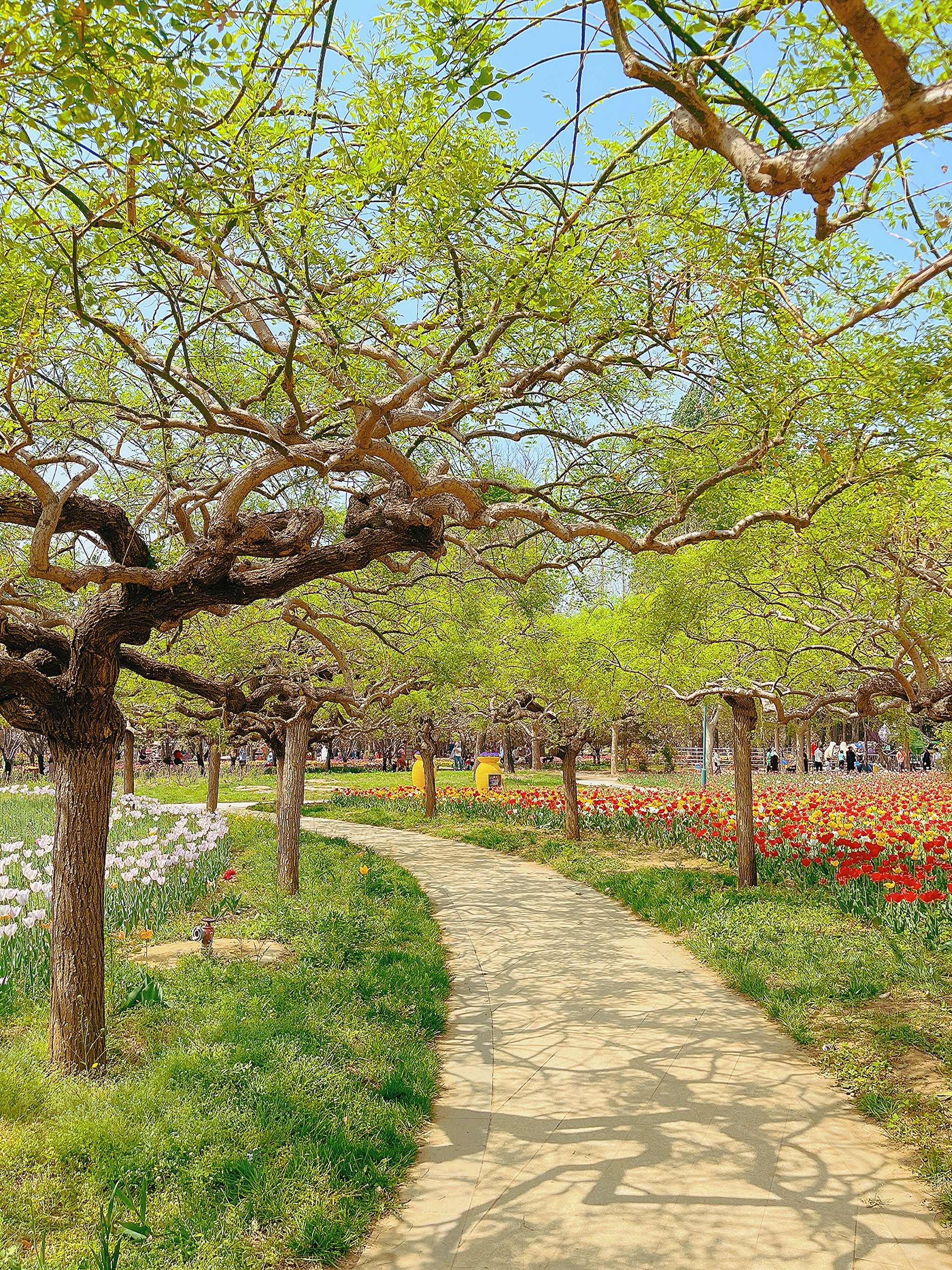 不负春天🌺不负美景