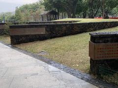 -王借岗森林公园