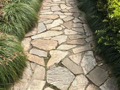 -白塘生态植物园