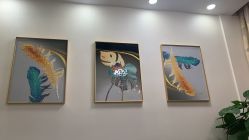 -久匠·纹眉半永久野生眉